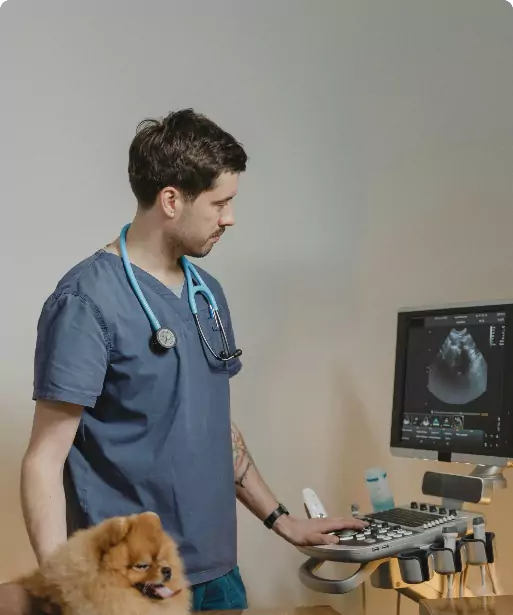 EUROPEAN CARE FOR THE HEALTH OF SMALL ANIMAL SASSOCIATION
