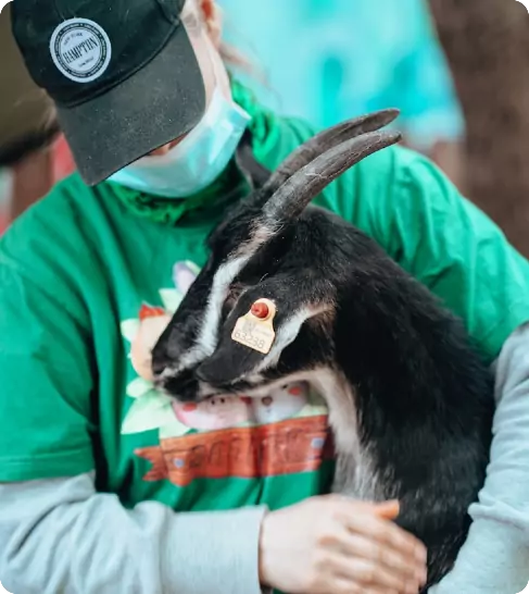 EUROPEAN CARE FOR THE HEALTH OF SMALL ANIMAL SASSOCIATION